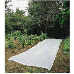 Voile de croissance CLIMATEX 2x10m