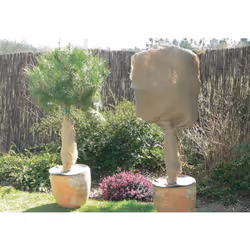 Nortene Natureroll film de protection des plantes Beige Tissu 200 g/m² - Vue supplémentaire 3