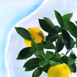 Nortene Hiversac film de protection des plantes Blanc Polypropylène (PP) 30 g/m² - Vue supplémentaire 4