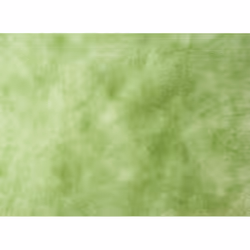Nortene Ouatex film de protection des plantes Vert Polyester, Polypropylène (PP)