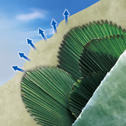 Nortene Ouatex film de protection des plantes Vert Polyester, Polypropylène (PP)