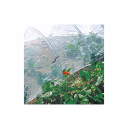 Filet anti-insectes Climabio