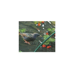 Nortene - Filet Protection Oiseaux birdnet 5x10m Vert