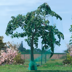 Filet de protection des cultures de fruits (arbres fruitiers et autres) En polyéthylène extrudé (HDPE) Traité anti-UV Coloris ...