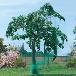 Nortene - Filet de protection oiseaux 'Birdnet' - 1 x 10 m - Noir