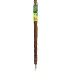 Tuteur "Coco" pour plantes grimpantes -  Hauteur 1 m