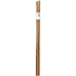 NORTENE Tuteur bambou L60 cm ép. 6 / 8 mm - Lot de 6 pièces