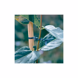 Ce lien en acier plastifié sert à fixer la tige de la plante au tuteur que vous aurez positionné à côté. Très utile au jardin ...