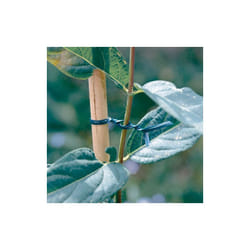 Nortene - Lien plastique armé Nort Apfix bobine 100m vert