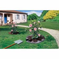 Feutre de plantation 1,50 x 6 m - pour arbustes terre de bruyère "Terraplant"