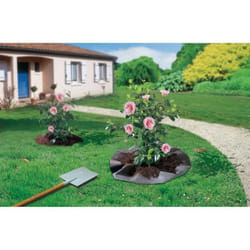 Feutre de plantation 1,50 x 6 m - pour arbustes terre de bruyère "Terraplant"