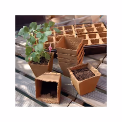 Mini pots 100% compostables pour faire pousser vos semis et repiquer vos légumes. Ces pots sont fabriqués en fibre de bois po ...