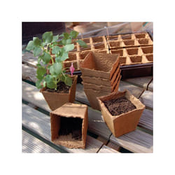 NORTENE - Growing Pot 18 pots ø8cm 100% biodégradable