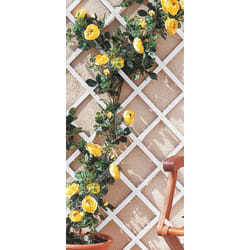 Treillis extensible en PVC 1 x 2 m blanc TREILLIFLEX