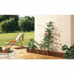 Description générale Palissage invisible pour plantes grimpantes, idéal pour soutenir et guider la croissance de vos plantes ...