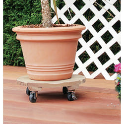 Nortene - Support à roulettes rond 'Flora Roll Autoclave' - 35 cm