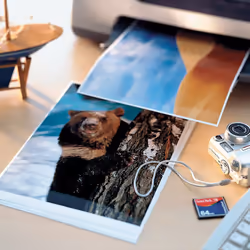 Avery 2555-C papier photos A4 Blanc Gloss
