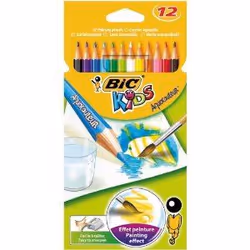 BIC Aquacouleurs, 12 pièce(s)