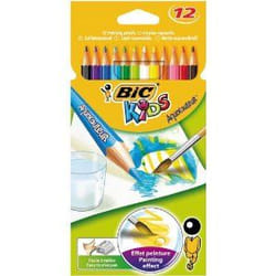 BIC Aquacouleurs 12 pièce(s)