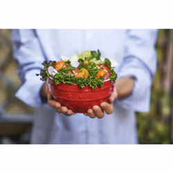 Staub Ceramique Ensemble de bols 0,7 L Rond Vitrocéramique Rouge 4 pièce(s) - Vue supplémentaire 4