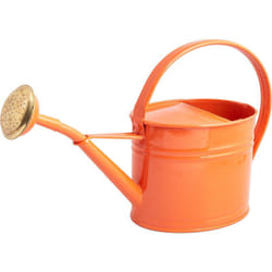 Arrosoir en acier galvanisé avec pomme 1.75 litres