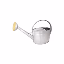 ARROSOIR 10L ACIER GALVA - POMME GALVA GRILLE LAITON CARACTERISTIQUESVidéo : Fiche produit constructeur / fournisseur : https ...
