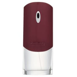 Givenchy Pour Homme 100ml Hommes