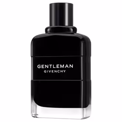 Givenchy Gentleman 100ml Hommes