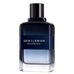 Givenchy Gentleman Hommes 100ml