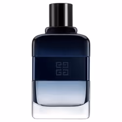 Givenchy Gentleman Hommes 100ml - Vue supplémentaire 5