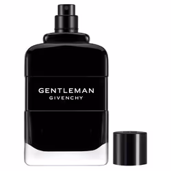 Givenchy Gentleman 100ml Hommes