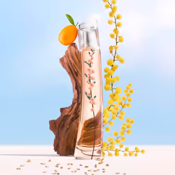 KENZO Flower Ikebana Mimosa 40ml Femmes