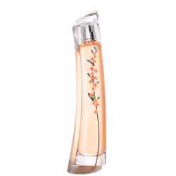 KENZO Flower Ikebana Mimosa