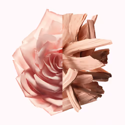 Givenchy Irresistible Nude Velvet 80ml Femmes