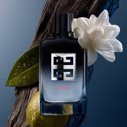 Givenchy Gentleman Society Sport 60 ml Hommes - Vue supplémentaire 3