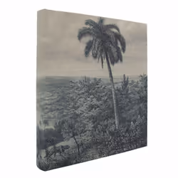 Craquez pour cet album photo grand format, "Palmier", pour coller jusqu'à 600 photos 10x15 cm de tous vos voyages. En plus de ...