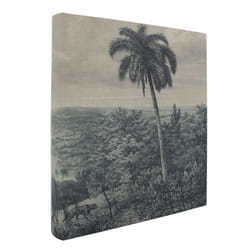 Panodia - Album Photo Traditionnel palmier 600 Photos 10x15 cm, 100 pages, dimensions totales : 360x335x58 mm - fabriqué en France