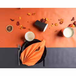 PRONAPPE 79211I Ustensile jetable Assiette - Vue supplémentaire 4