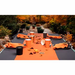 PRONAPPE 79211I Ustensile jetable Assiette - Vue supplémentaire 5