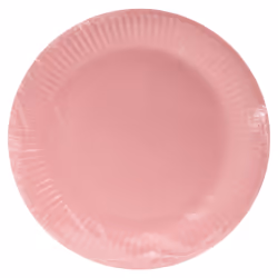 PRONAPPE 79214I Ustensile jetable Assiette