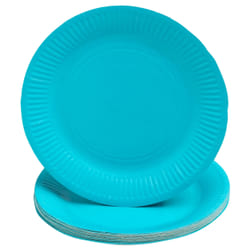 PRONAPPE 79216I Ustensile jetable Assiette