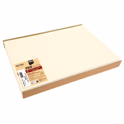 PRONAPPE S340102I, Rectangle, Ivoire, Monochromatique, 300 mm, 400 mm, 100 pièce(s)