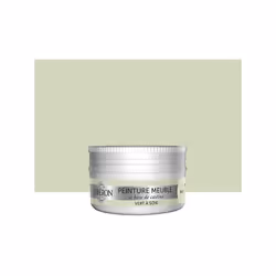 Nom du produit : Peinture pour meuble, objet et porte Couleur : Vert à soie Aspect : Mat Destination : Toutes pièces Usage du ...