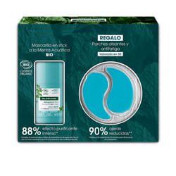 Masque Bio Menthe En Etui Stick 2 pcs