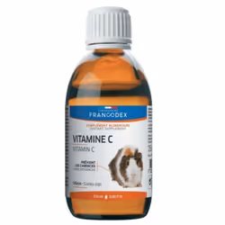 Les cochons d'Inde ne synthétisent pas la vitamine C, qui leur est pourtant indispensable : une carence en vitamine C peut se ...
