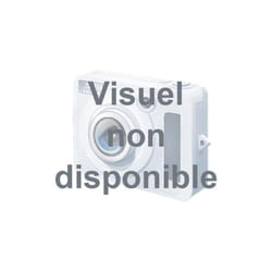 Mastic Geb'orizon Silicone Sanitaire Blanc 310 Ml - Geb