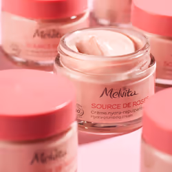 Melvita Source de Roses Hydra-Plumping Cream 50ml