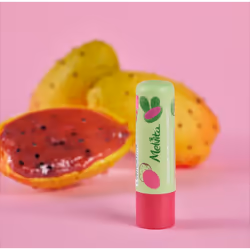 Melvita Nourishing Lipbalm baume pour les lèvres Beaume pour les lèvres Femmes 4,5 g