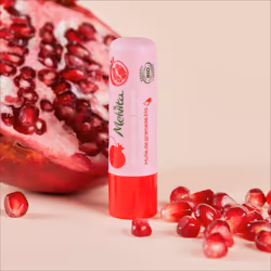 Melvita Smoothing Lipbalm baume pour les lèvres Beaume pour les lèvres Femmes 4,5 g