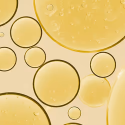 Melvita Huile d'Argan Bio 50 ml - Vue supplémentaire 2